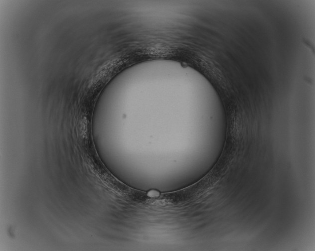 X0000103220689200809111508