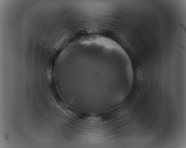 X0000103220691200809111508