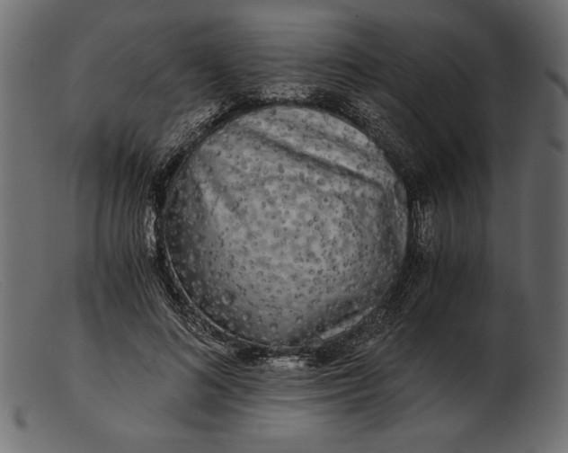 X0000103220692200809111508