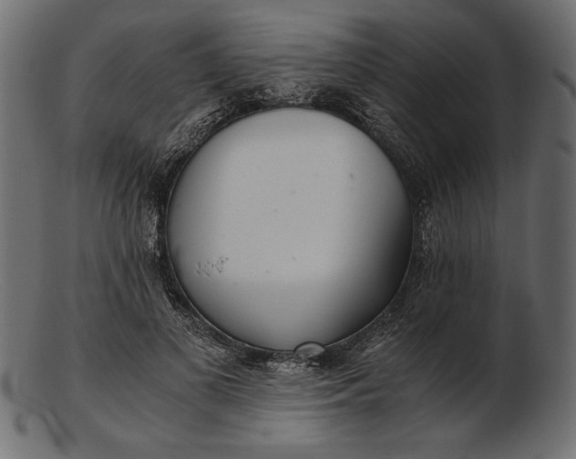 X0000103220693200809111508