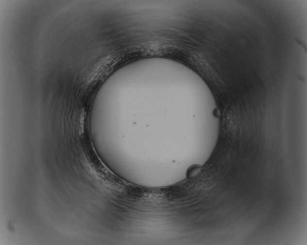 X0000103220694200809111508