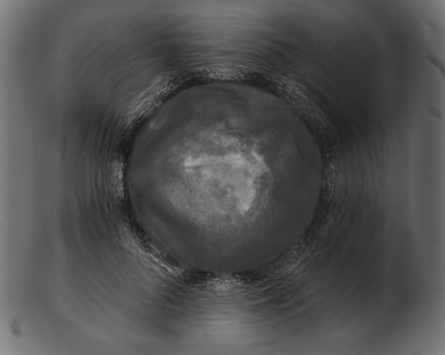 X0000103220696200809111508