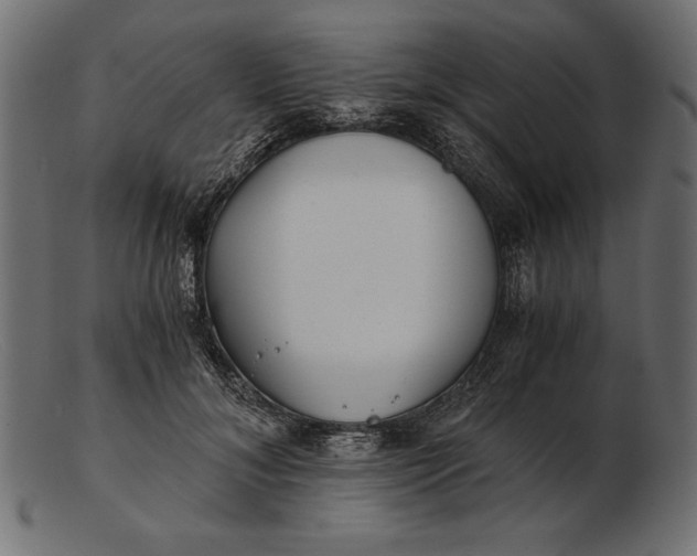 X0000103220700200809111508