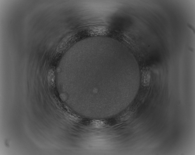 X0000103220701200809111508