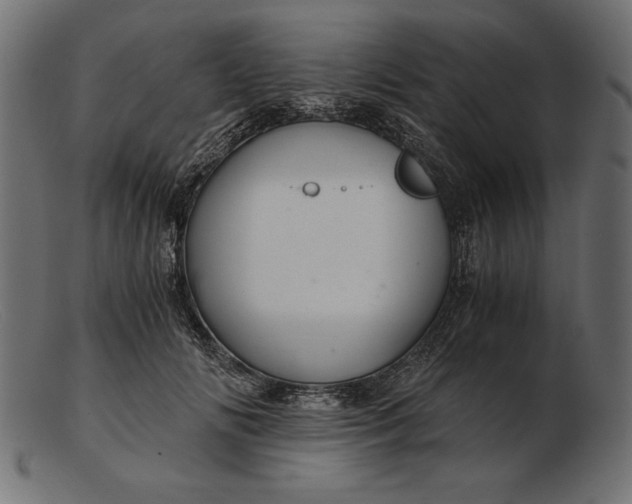 X0000103220702200809111508