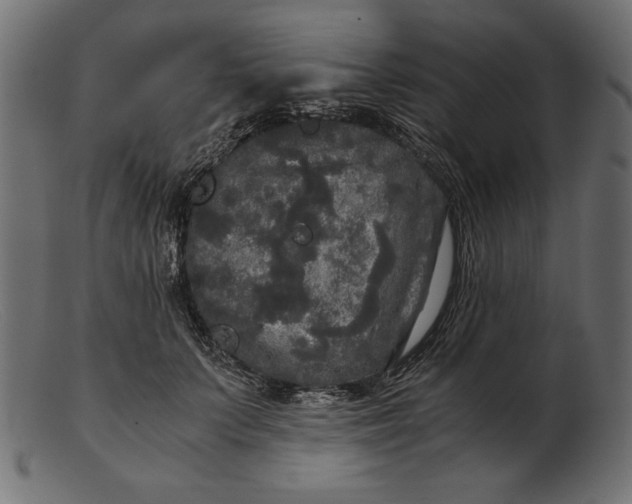 X0000103220703200809111508