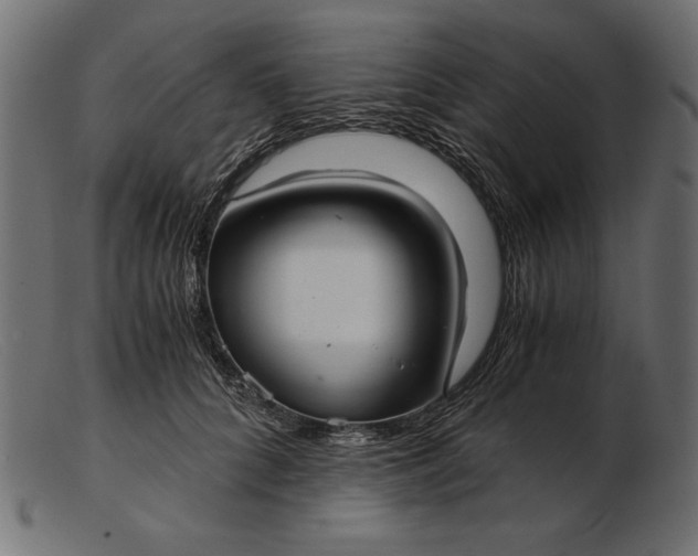 X0000103220704200809111508