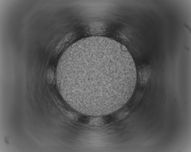 X0000103220705200809111508