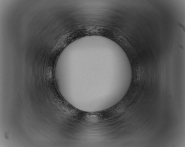 X0000103220706200809111508