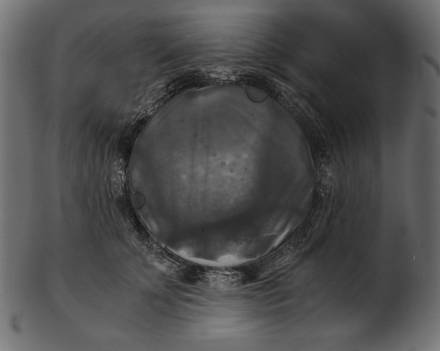 X0000103220707200809111508