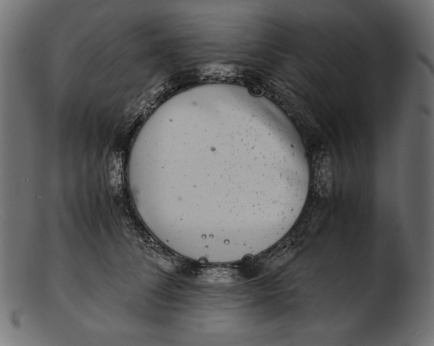 X0000103220708200809111508