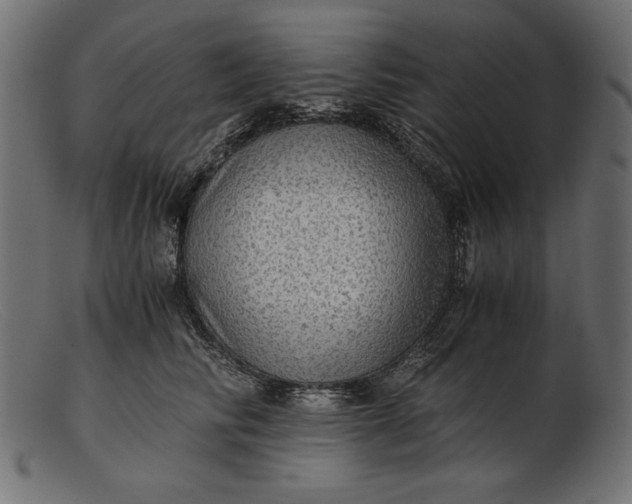 X0000103220710200809111508