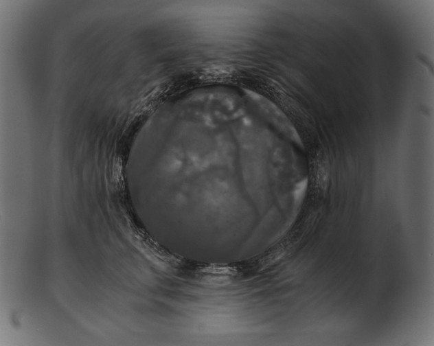 X0000103220711200809111508