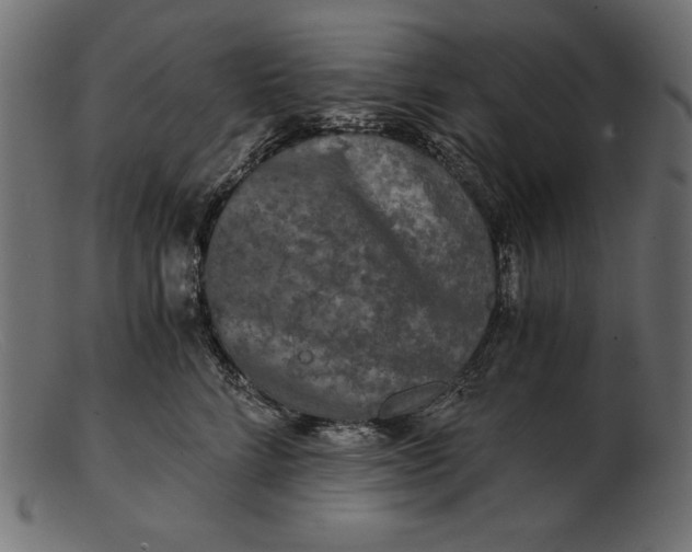 X0000103220712200809111508