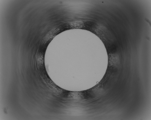 X0000103220713200809111508