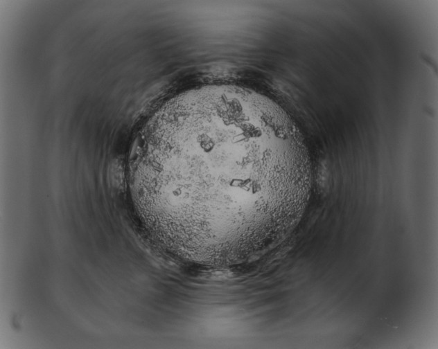 X0000103220715200809111508