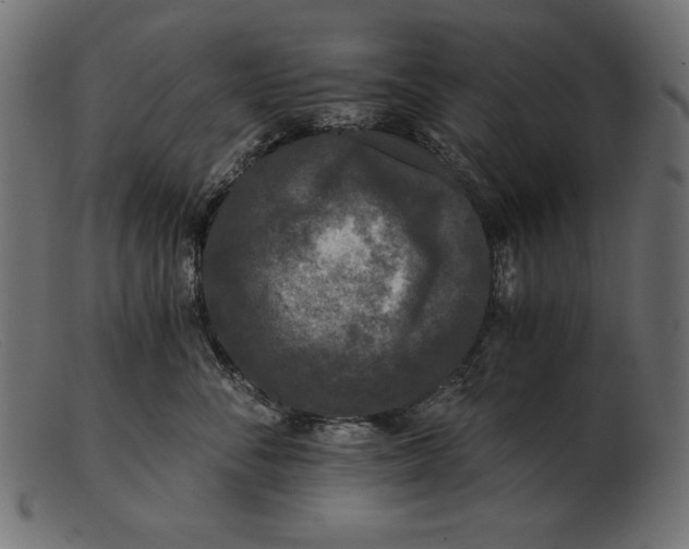 X0000103220716200809111508