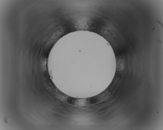 X0000103220717200809111508