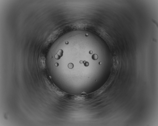 X0000103220718200809111508