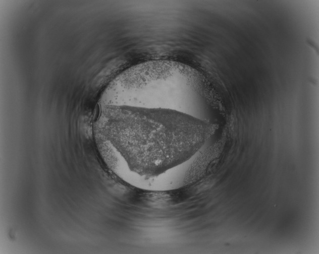 X0000103220719200809111508