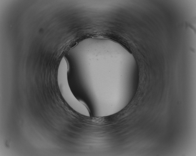 X0000103220720200809111508