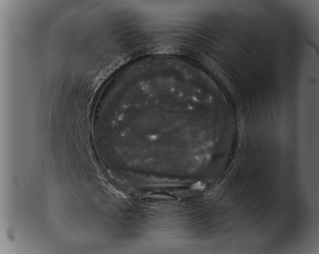 X0000103220721200809111507