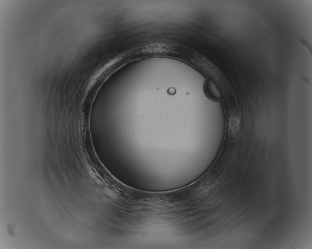 X0000103220724200809111507