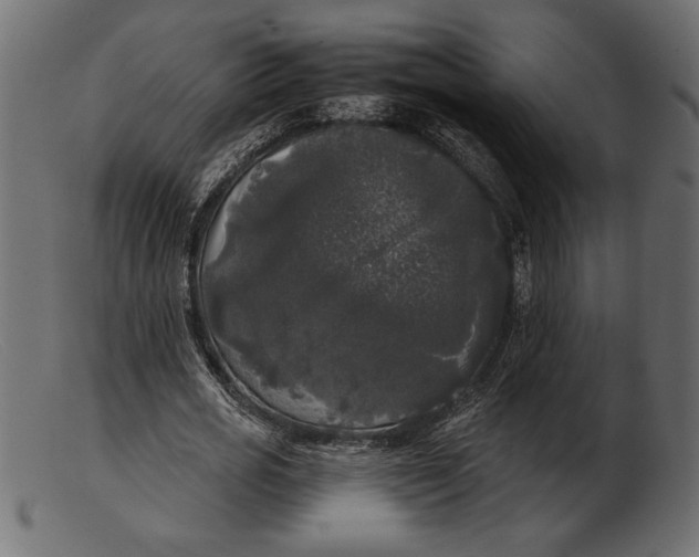 X0000103220725200809111507