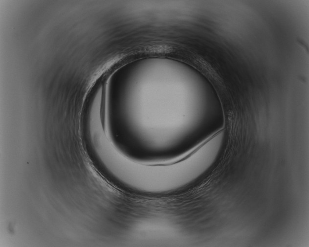 X0000103220726200809111507