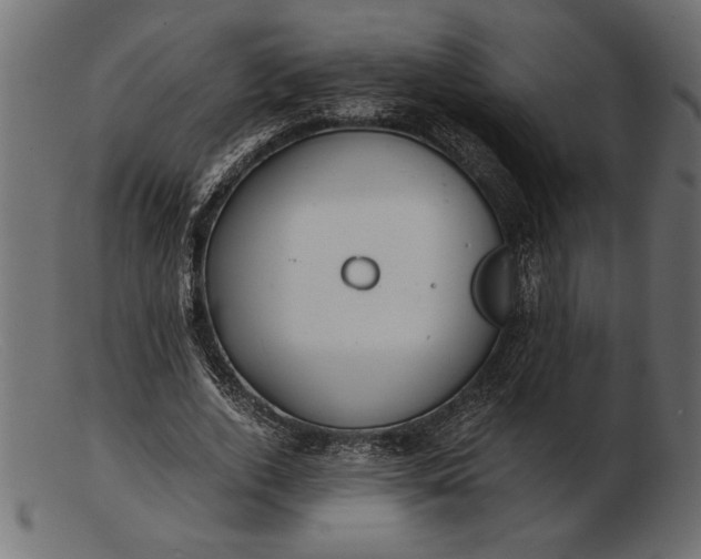 X0000103220728200809111507