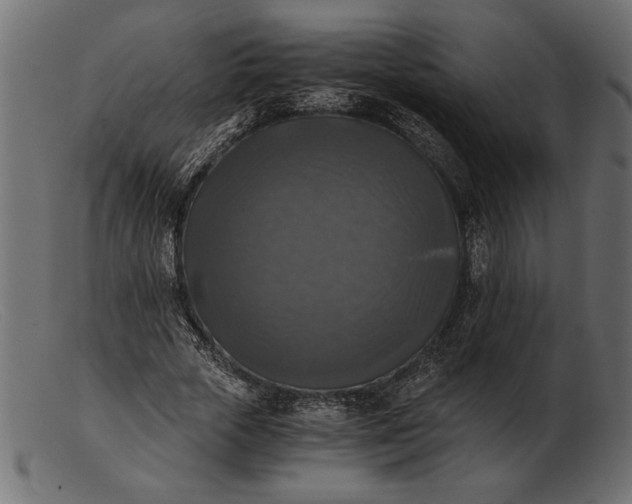 X0000103220729200809111507