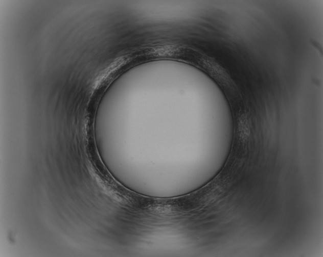 X0000103220730200809111507