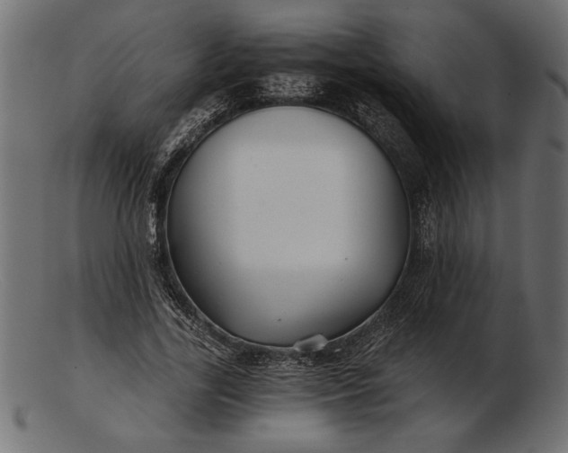 X0000103220731200809111507