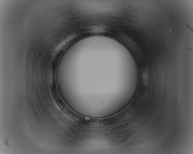 X0000103220732200809111507