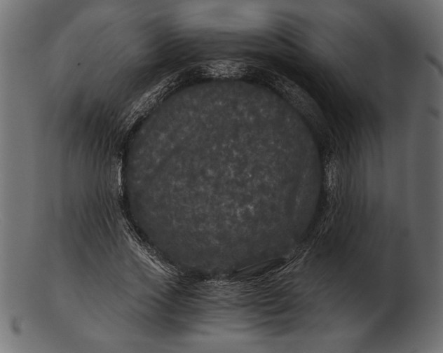 X0000103220733200809111507