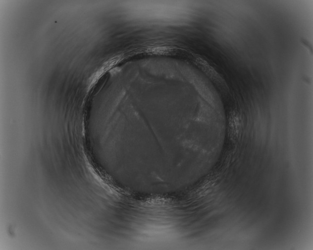 X0000103220734200809111507