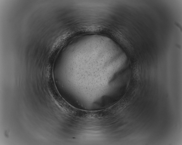 X0000103220736200809111507