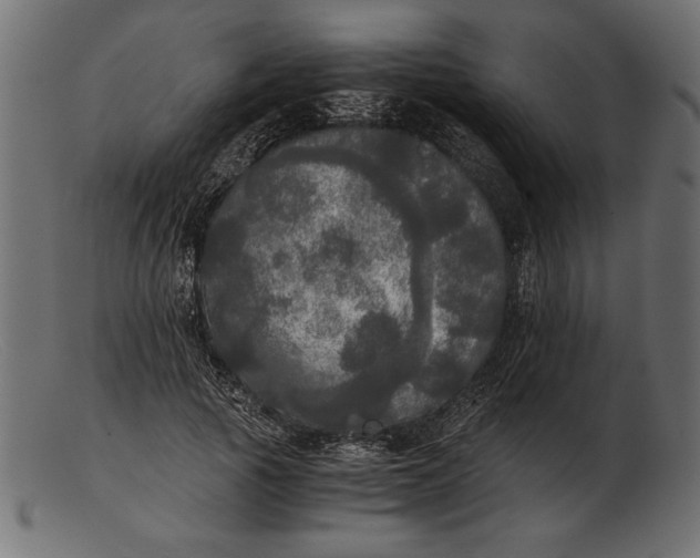 X0000103220737200809111507