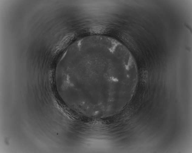 X0000103220738200809111507