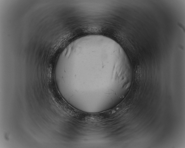 X0000103220739200809111507