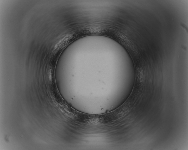 X0000103220740200809111507