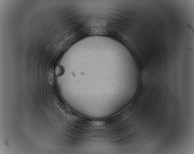 X0000103220741200809111507