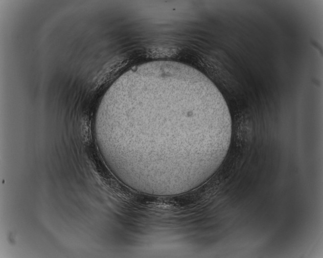 X0000103220743200809111507