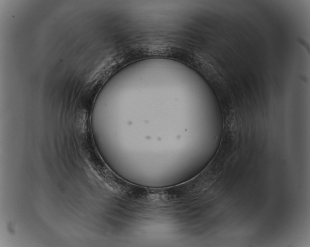 X0000103220744200809111507