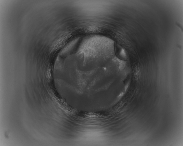 X0000103220746200809111507