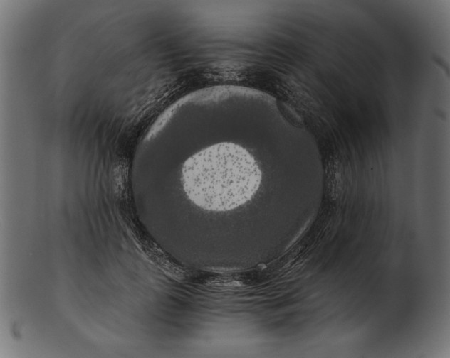 X0000103220747200809111507