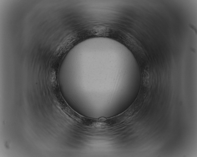 X0000103220748200809111507