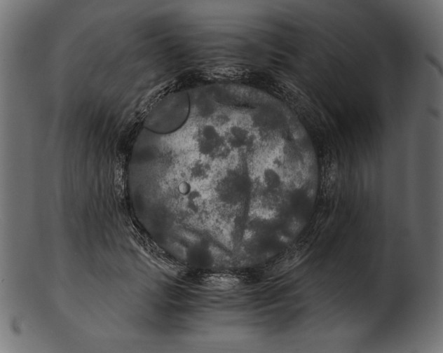 X0000103220749200809111508