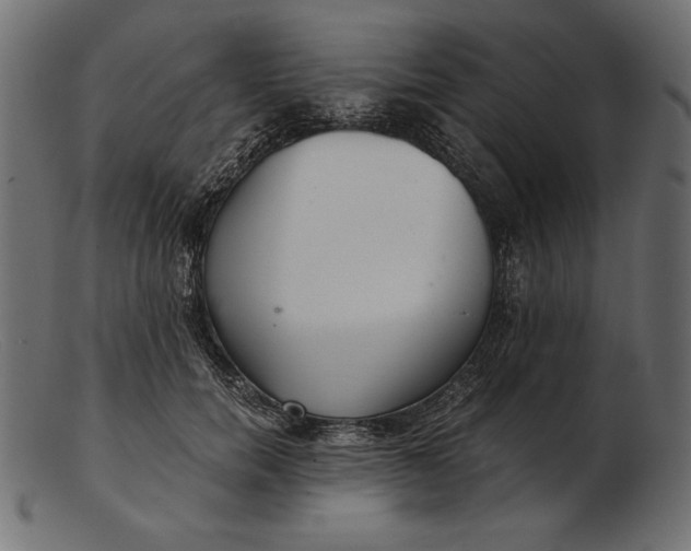 X0000103220750200809111508