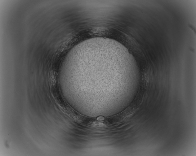 X0000103220751200809111508